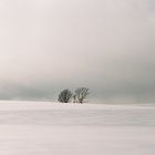 모르시나요 (Prod. by 로코베리)